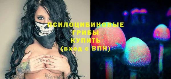 ПСИЛОЦИБИНОВЫЕ ГРИБЫ Алзамай