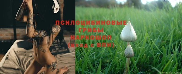 ПСИЛОЦИБИНОВЫЕ ГРИБЫ Алзамай